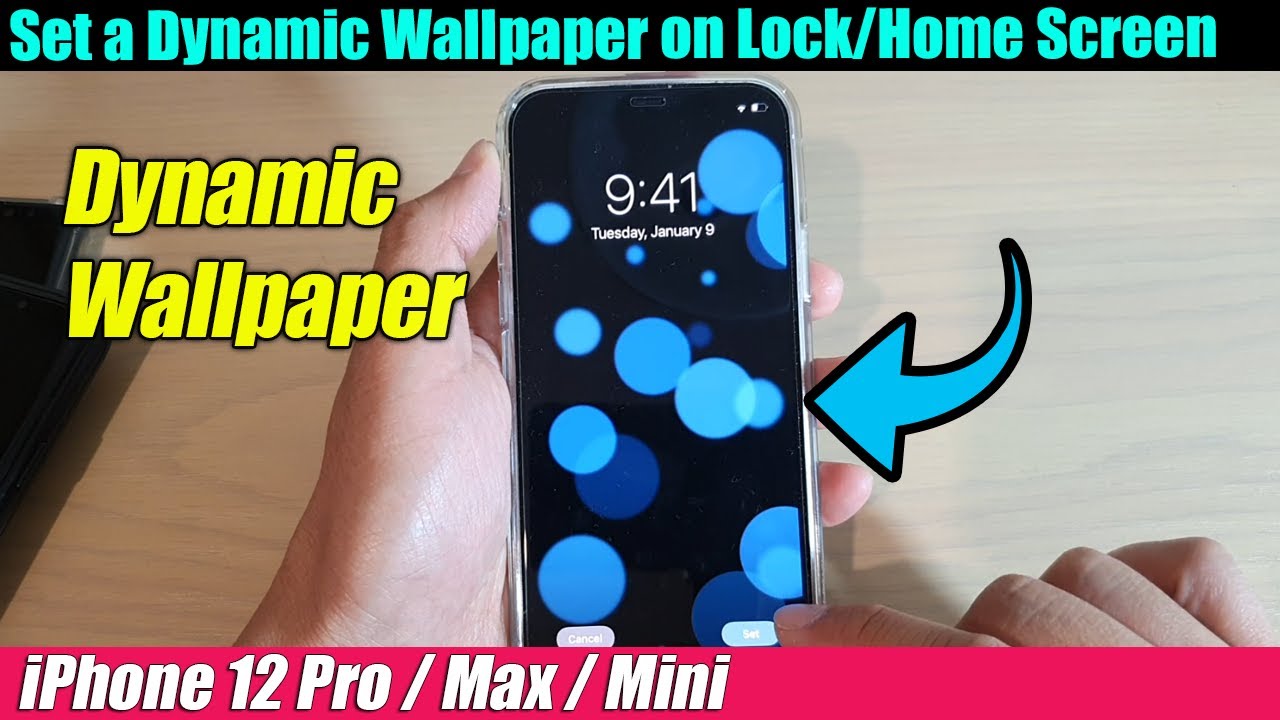 iPhone 12/12 Pro How to Change Home/Lock Screen Wallpaper to a Dynamic Wallpaper YouTube