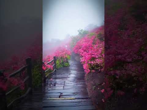 كم هو جميل ورررائع أن نصبح على منظر كهاذا