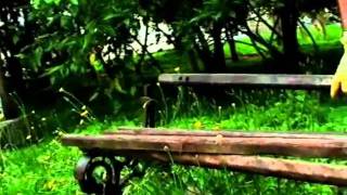 Aciaa - Dia Internacional Do Voluntariado