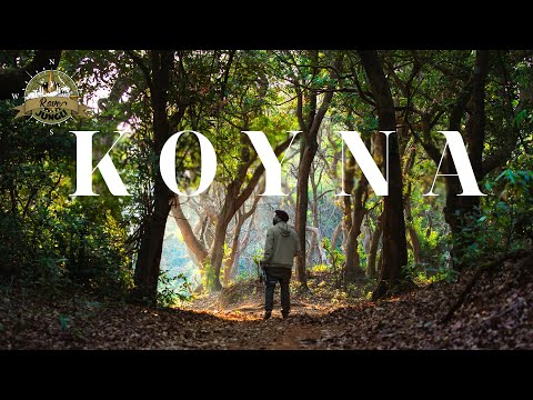 Koyna Wildlife Sanctuary Beauty Unraveled | Travel Free, Travel Wild | Cinematic Trailer Rove Jungli