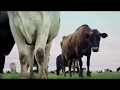 NAB Agribusiness &ndash; More than Money