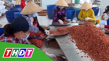 Ghi danh nghề làm tôm khô ở Cà Mau là di sản văn hoá phi vật thể | THDT