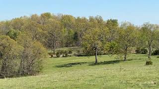 1180 acres for sale in Fulton County, AR