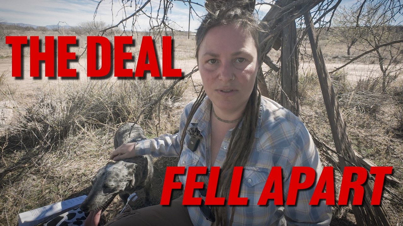 How I Bought 30 Acres in Arizona for $52K – And Negotiated $13,000 Off The Price
