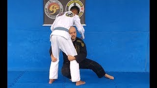 JIU-JITSU. MANUAL BÁSICO DO FAIXA BRANCA (1. LUTA EM PÉ)