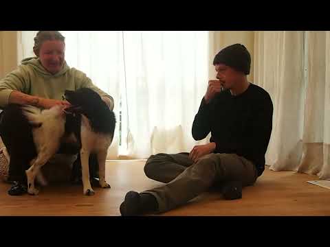 Sketchy Scentwork Sessions EP1