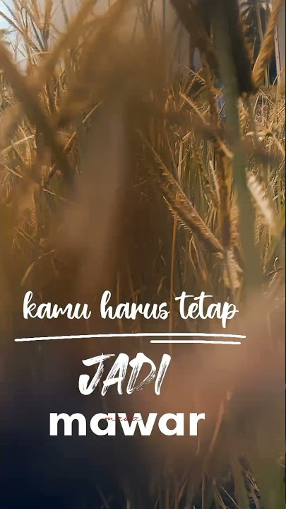 story....😂😂Agnes Monica tanpa kekasih