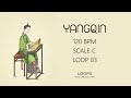 FREE Yangqin Loops (Royalty Free) | Traditional Chinese Instrument for Music Producers | 03