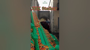 The *NEW* BUFFED “XRK Stalker” Sniper Class META in MW3 Warzone #shorts #viral #callofduty #gaming