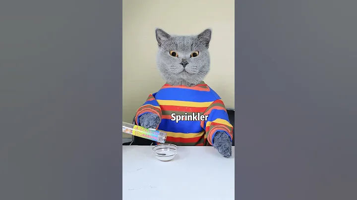 Oscar: A Good Cat Won't Waste Food!!😼👍| Funny Cat TikTok Challenge  #funnycat #catsoftiktok  #shorts