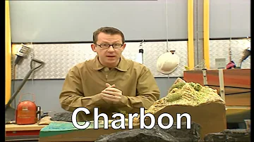 Pourquoi le charbon est exploitée ?