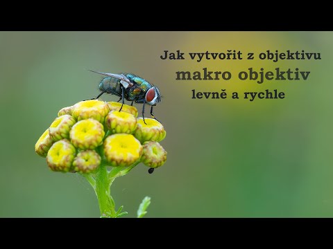 Video: Jak Vytvořit Referenci Objektivu