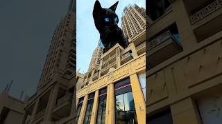 Có con vật khổng trên toà nhà cao tầng #shortsyoutube 🐈🐿️ #funny