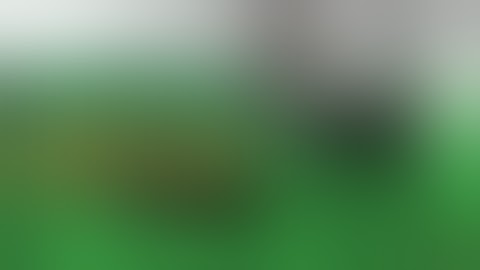 Peter Raffin Pro Remix | Creature Skateboards