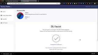 How to send testnet Zillings (ZIL) to Moonlet wallet screenshot 4