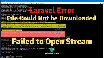 File Could Not be Downloaded Failed to Open Stream | Laravel Error