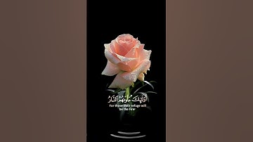 صباح الخير 🌺 اجمل حالات واتس اب مقاطع قصيره 🌺 قران كريم سورة يونس🌺 عبد الرحمن مسعد بدون حقوق