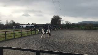Jaylum Az On Magpie Intro B Syoutu.belj7Scd41Ffs