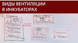 ШКОЛА ИНКУБАТОРОСТРОЕНИЯ №5 (схемы движения воздуха в заводских и самодельных инкубаторах для яиц)