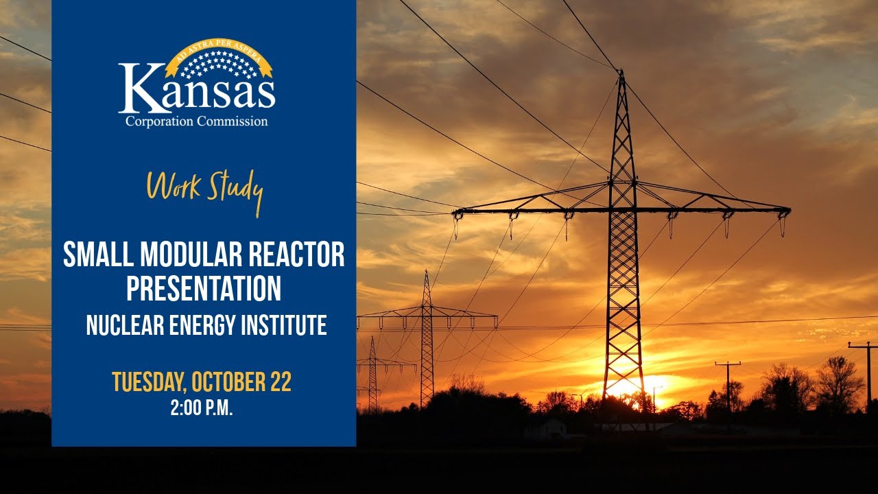 Work Study: Small Modular Reactor Presentation (10/22/24)