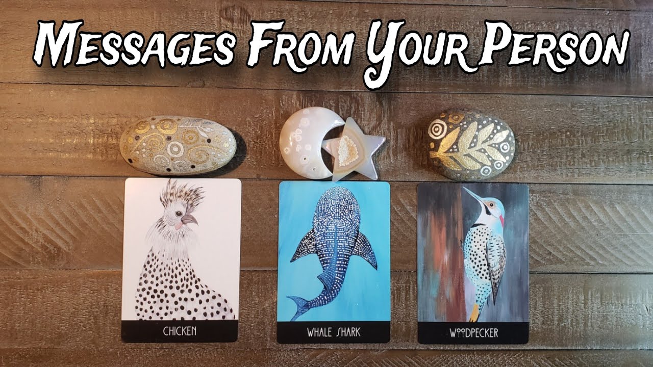 💋💌 Messages From Your Person 💌💋 Pick A Card Love Reading - YouTube