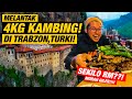 Ep 8 Port Makan Best Melantak 4KG Lamb Chop Turki di Pergunungan Trabzon!