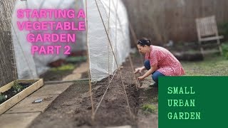 Starting A Vegetable Garden From The Beginning  My Small Urban Garden  Part 2