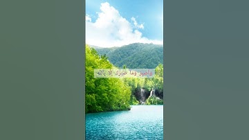 #القرآن_الكريم #راحة_نفسية #شهر_رمضان #الدوري_المصري #تلاوة_خاشعة #الرحمن