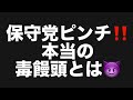 保守党ピンチ‼️本当の毒饅頭とは😈#百田尚樹　#有本香　#飯山陽　#日本保守党　#河村たかし　#減税日本　#安倍昭恵　#北村晴男　#武田邦彦　#立花孝志