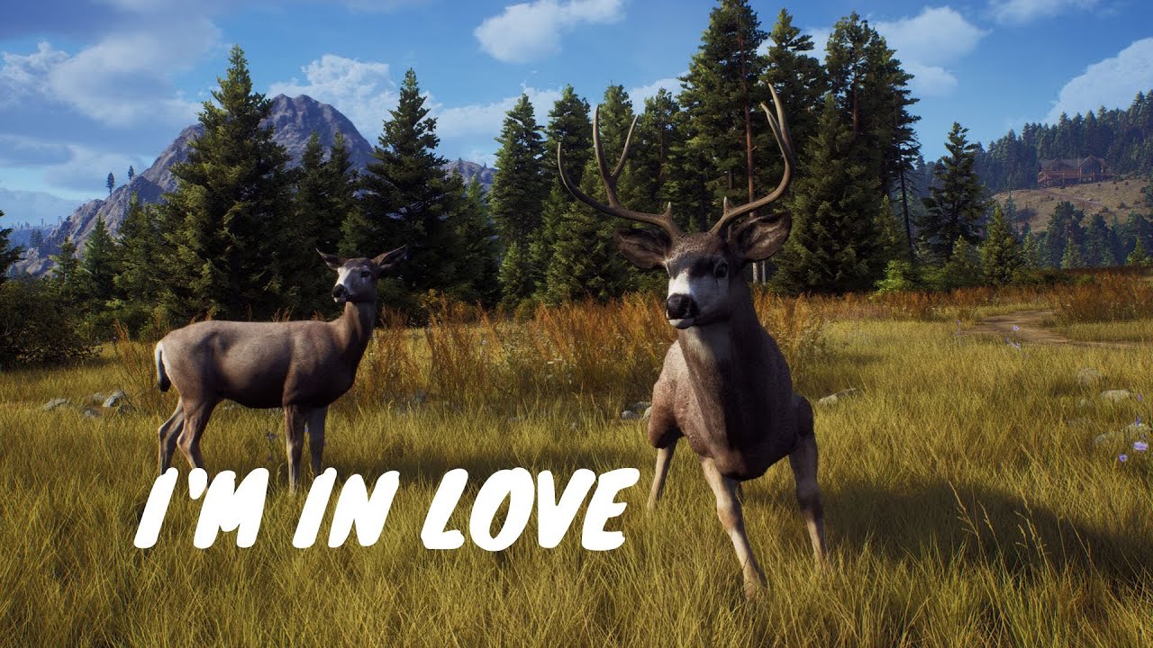 Most Realistic Hunting Game I ve Ever Played Way Of The Hunter PS5 most-realistic-hunting-game-i-ve-ever-played-way-of-the-hunter-ps5