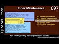 Maintain Index | Part 3 - Defragmenting Index | SSMS TSQL Tutorial #97
