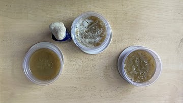 Dual Lye Shaving Soap