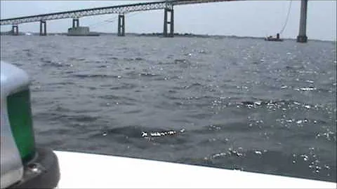 Little Big Town-Pontoon music video