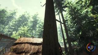 Обложка 006 The Forest 0 34 Skull Island Mit Neuen Bäumen Обложка 006 The Forest 0 34 Skull Island Mit Neuen Bäumen