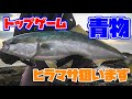 離島遠征最後はトップゲームでヒラマサを狙います!