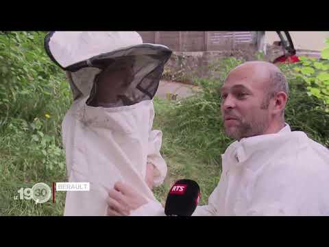 Programme parrainage de ruche - Suisse Romande.