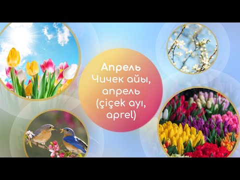 Video: Апрель айы Ванкуверде: Аба ырайы жана окуя боюнча колдонмо