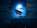 50 Second Stress Melter | Piano & Nature Sounds for Sleep #sleepmusic #calmingmusic #stressrelief