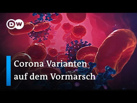 Wie schnell verbreiten sich die neuen Coronavirus Varianten? | Corona Update
