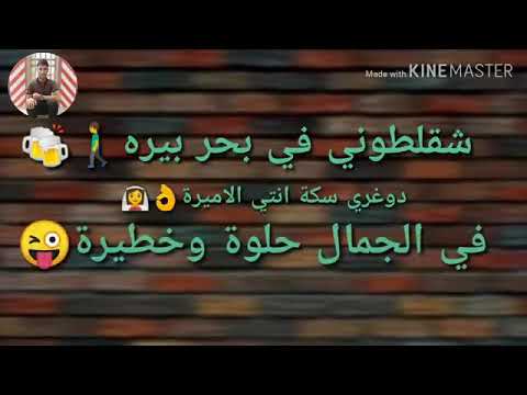أغنية شقلطوني في بحر بيرة حسن شاكوش