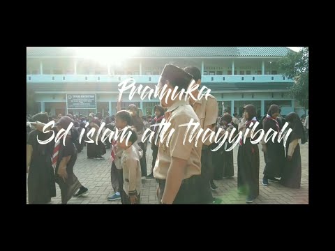62 Gambar Kolase Tunas Kelapa HD Terbaik