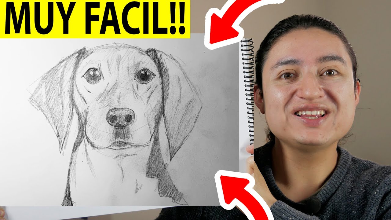 🥇 HOW TO DRAW A REALISTIC DOG STEP BY STEP 【VERY EASY】 | Pencil drawings  of Dogs - thptnganamst.edu.vn