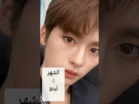 اعضاء فرقة ستراي كيدز حسب شهر ميلادك