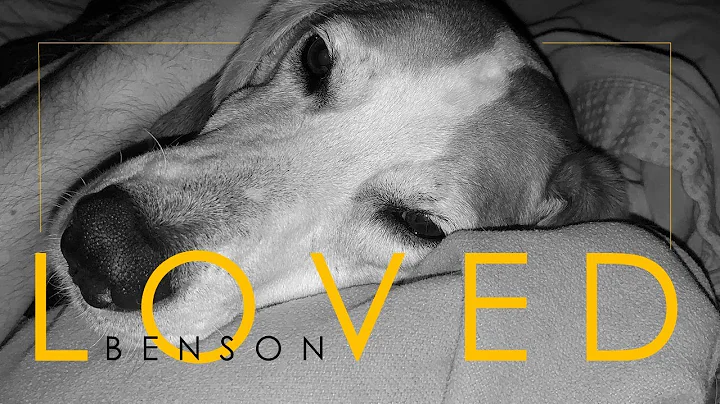 Borrowed Angels (Kristin Chenoweth) | Jill Parsons...