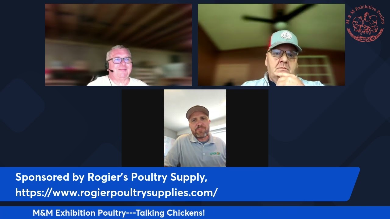 Talking Chickens  8 Jonathon Patterson  Master Breeder and ABA APA Judge