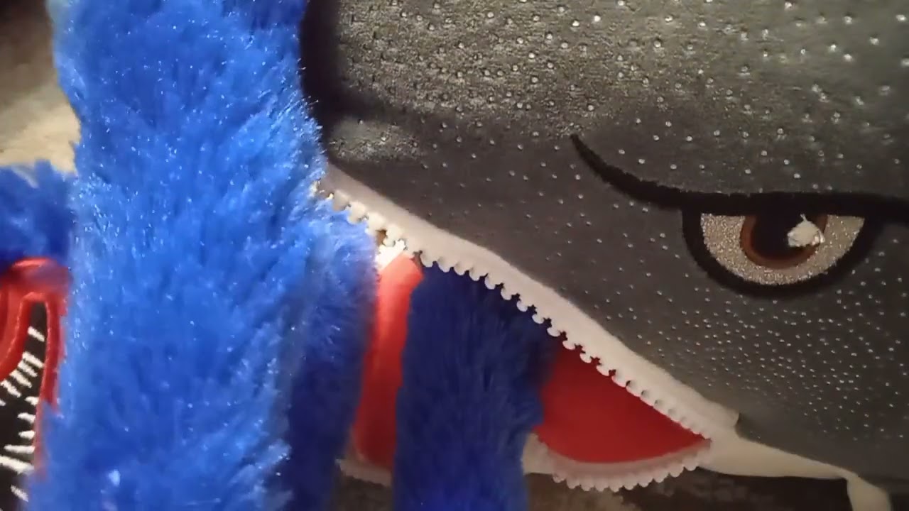 Виталик покорил акулу