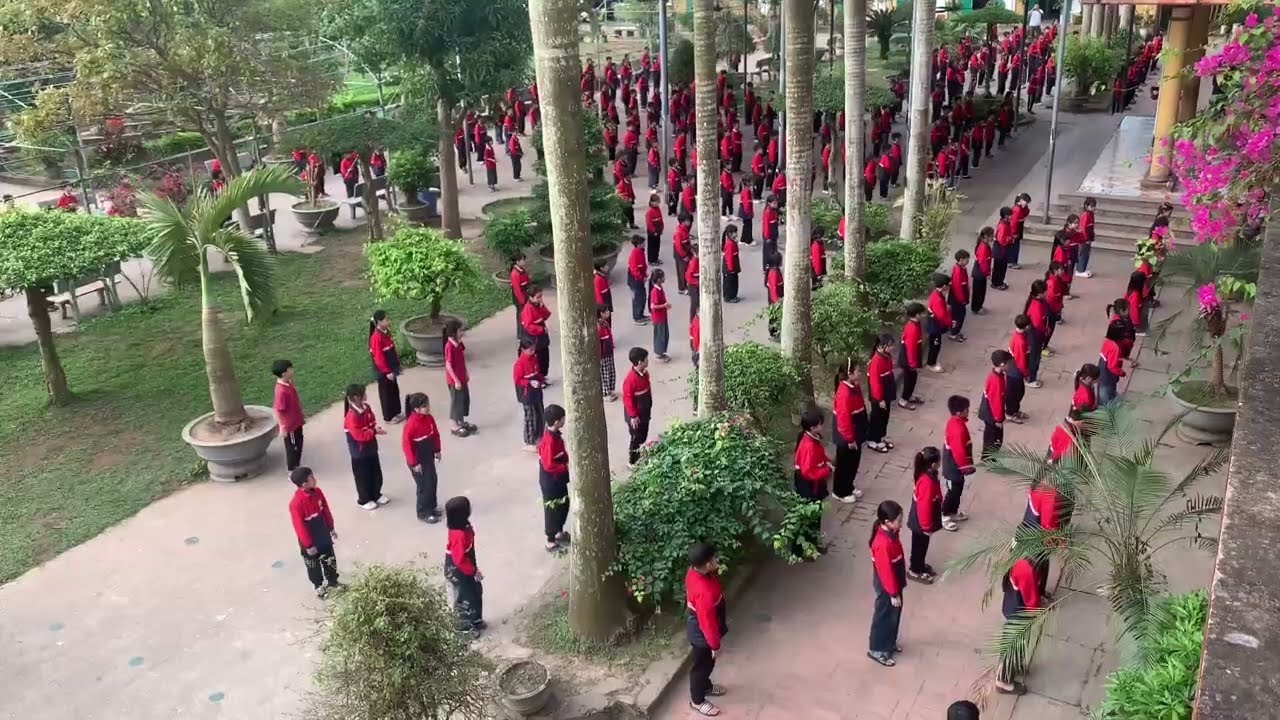 Cùng Kun bảo vệ muôn loài - Tiểu học Hoàng Nam - Điểm trường B