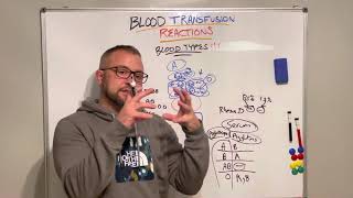Blood transfusion reactions (Part 1: Blood types)