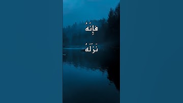 {وهدىً وبُشرى للمؤمنين} القارئ: محمد عثمان🌴🪴 #القرآن_الكريم #محمد_اللحيدان #المصحف #الرحمن
