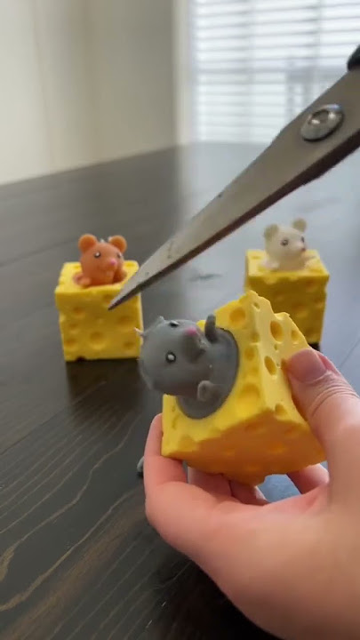Cutting Mouse Fidget Toy?! 🐭 Mrs. Bench